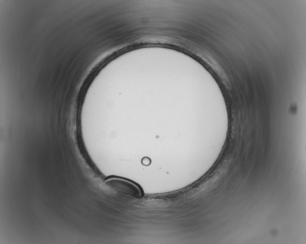 X0000116820984201001081413