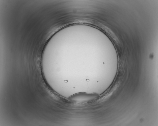 X0000116820985201001081413