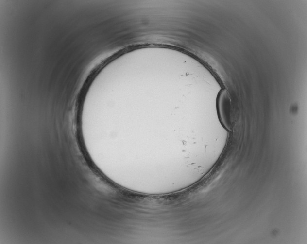 X0000116820987201001081413