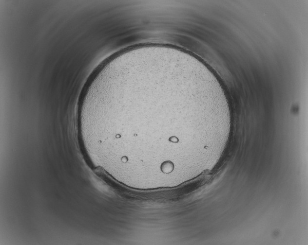 X0000116820988201001081413