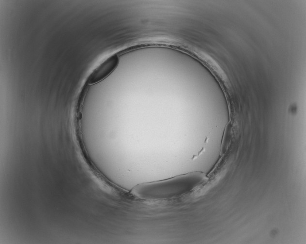 X0000116820989201001081413