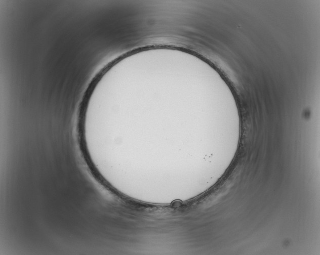 X0000116820991201001081413