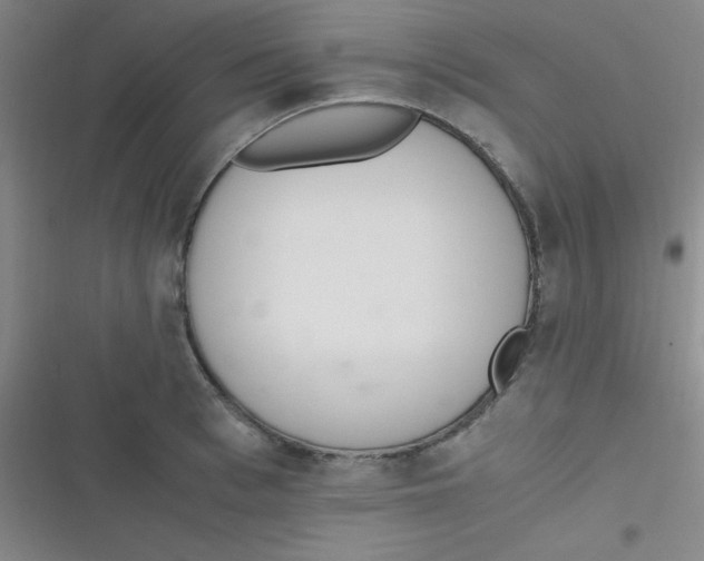 X0000116820993201001081413