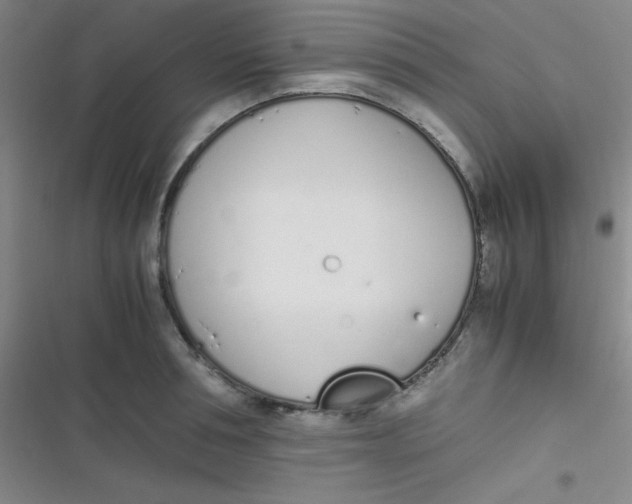 X0000116820994201001081413