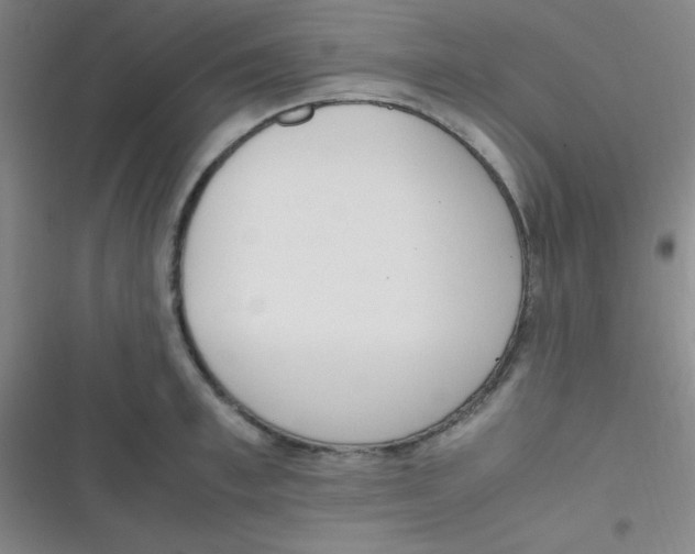 X0000116820997201001081413