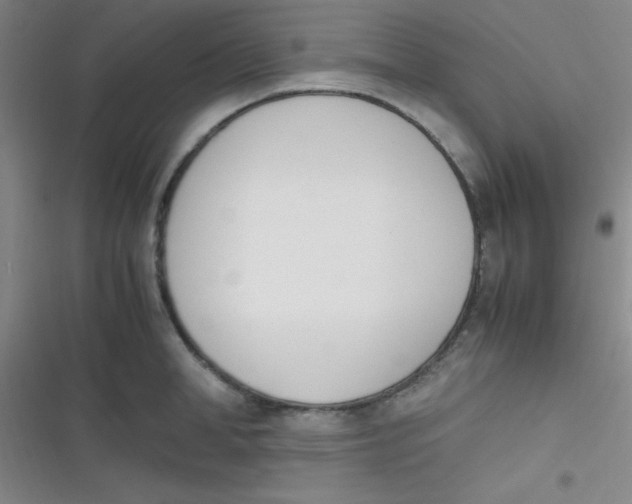 X0000116820998201001081413