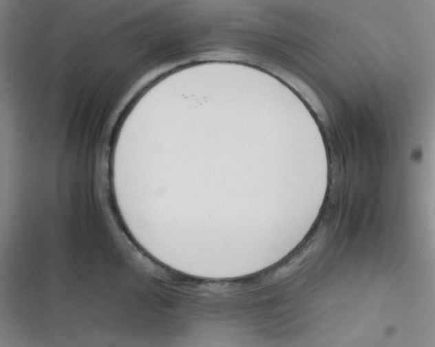 X0000116821000201001081413