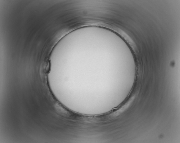 X0000116821001201001081413