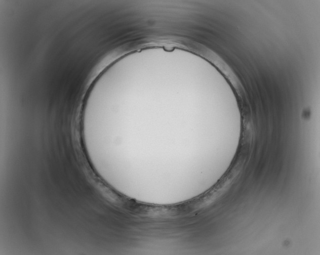 X0000116821002201001081413