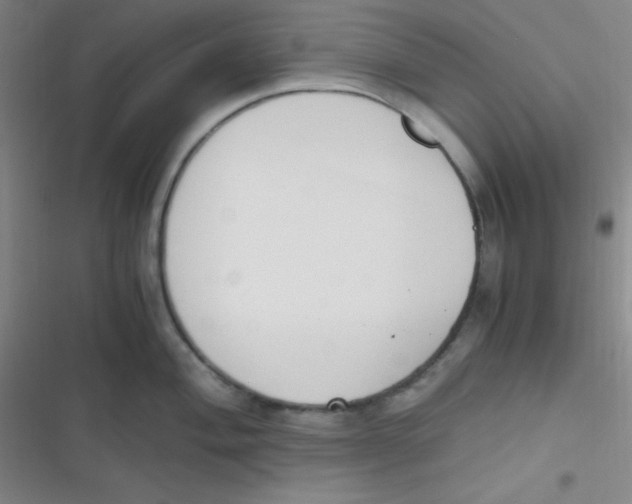 X0000116821004201001081413