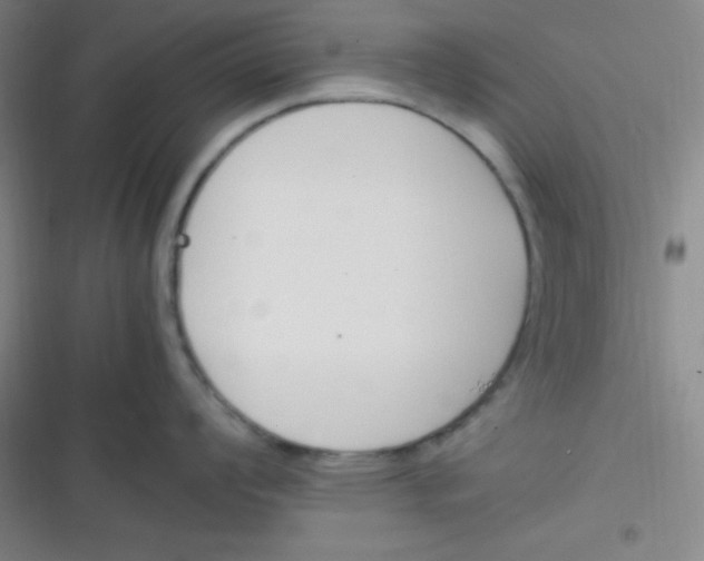 X0000116821008201001081413