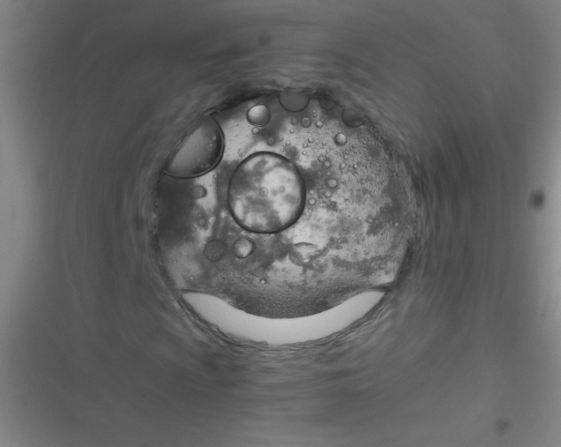 X0000116821009201001081412