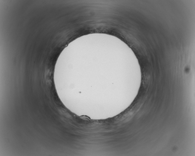 X0000116821010201001081412