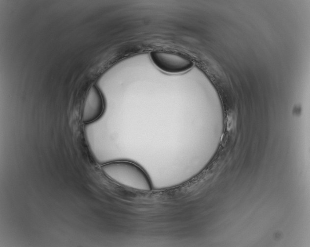 X0000116821011201001081412