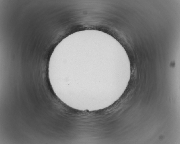 X0000116821012201001081412