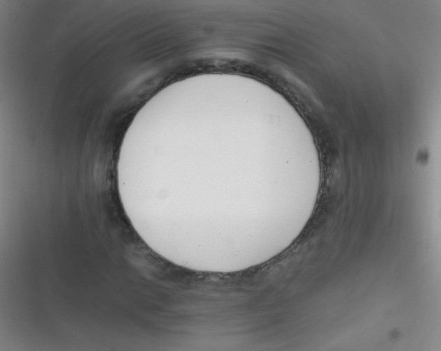 X0000116821014201001081412