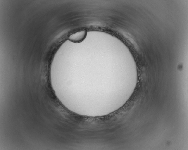 X0000116821015201001081412