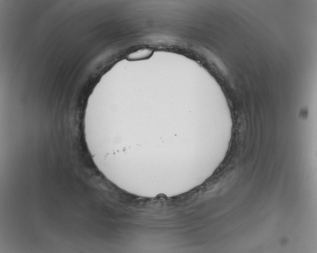 X0000116821016201001081412