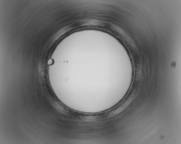 X0000116821017201001081412