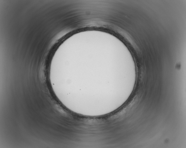 X0000116821018201001081412