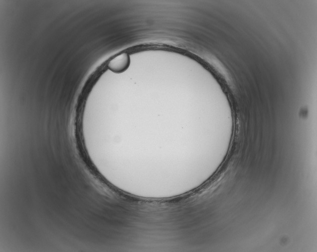 X0000116821020201001081412