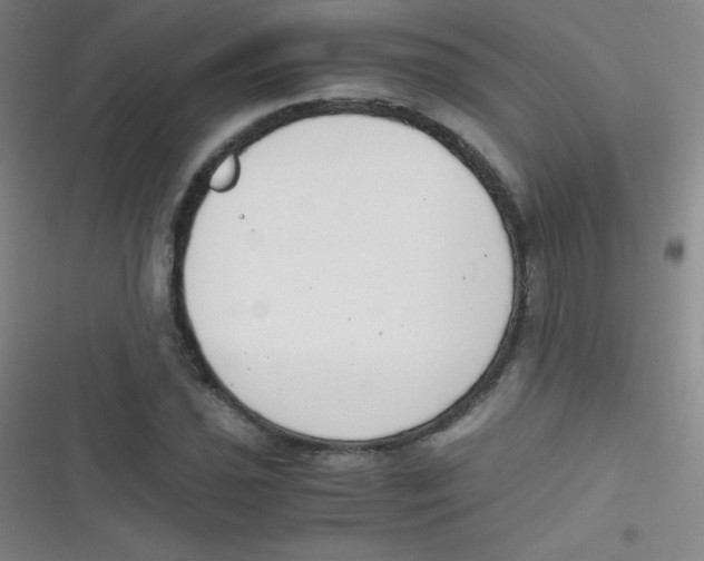 X0000116821021201001081412