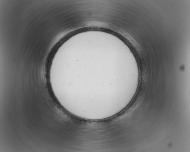 X0000116821022201001081412