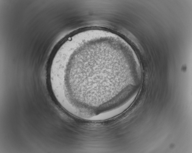 X0000116821024201001081412