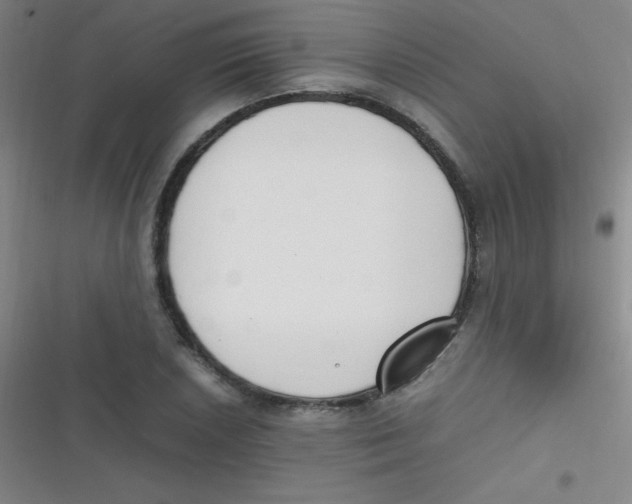 X0000116821026201001081412