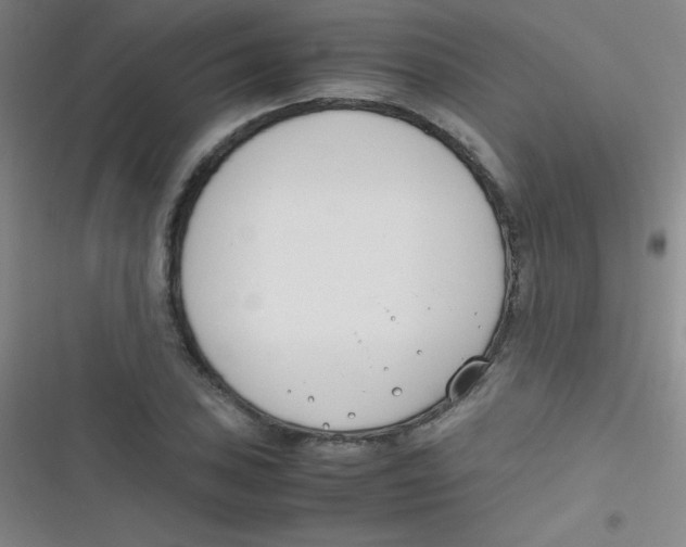 X0000116821027201001081412