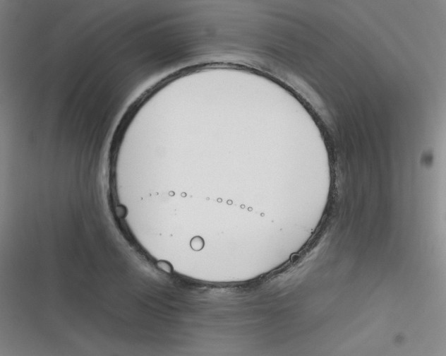 X0000116821028201001081412