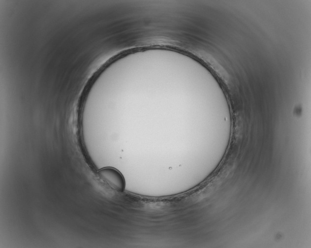 X0000116821031201001081412