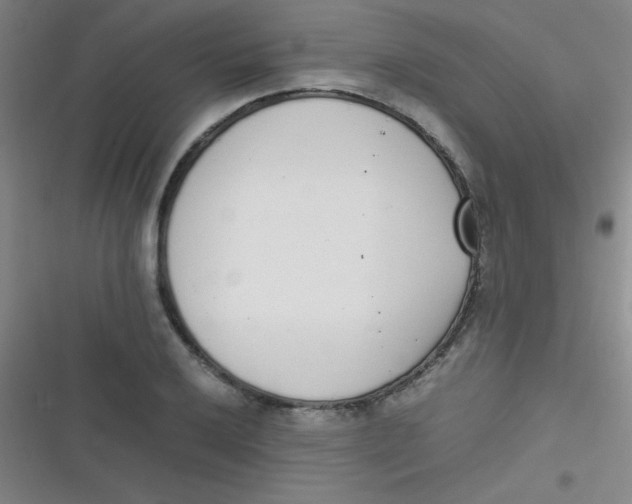 X0000116821032201001081412