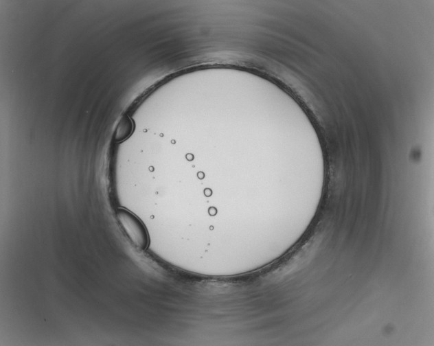 X0000116821034201001081412