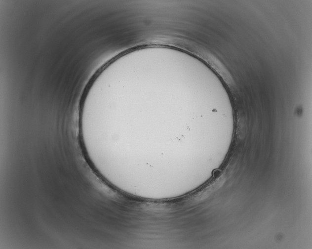 X0000116821036201001081412