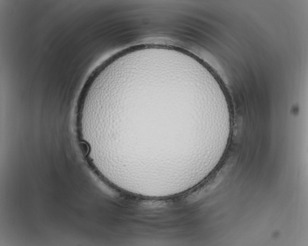 X0000116821037201001081412