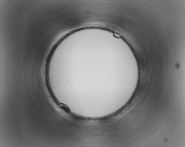 X0000116821038201001081412