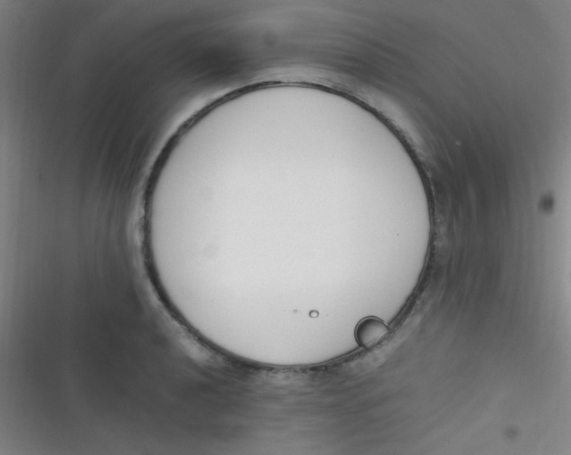 X0000116821040201001081412