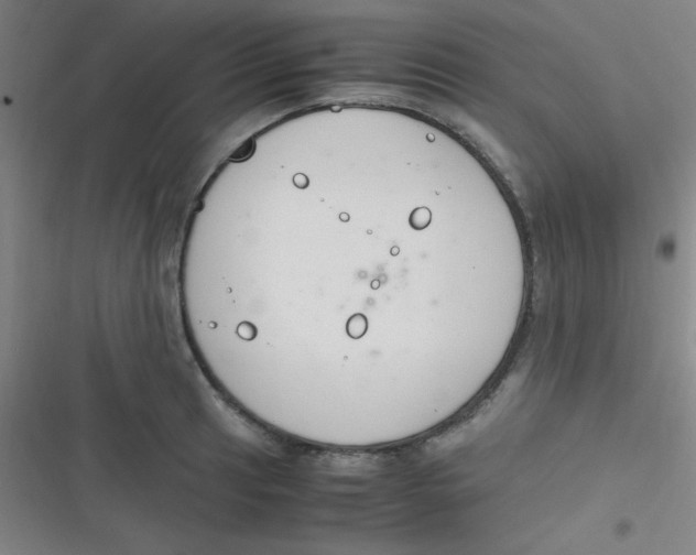 X0000116821041201001081412