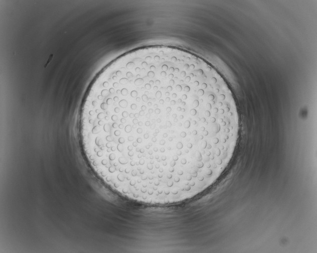 X0000116821044201001081413