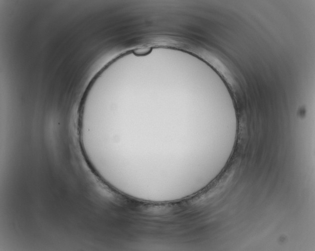 X0000116821047201001081413