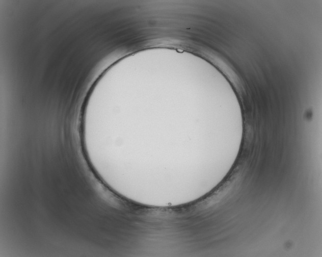 X0000116821050201001081413