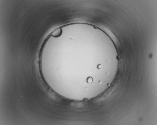 X0000116821051201001081413