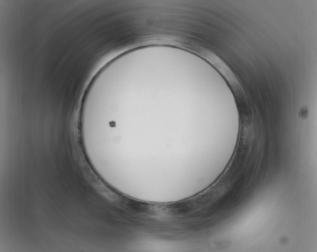 X0000116821052201001081413