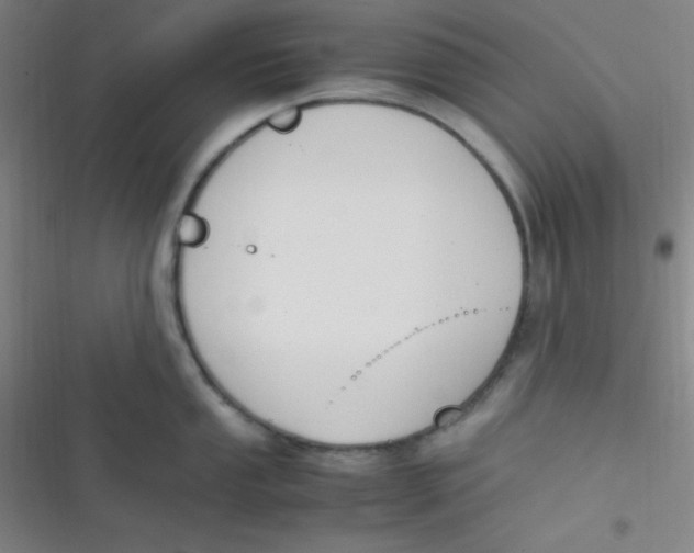 X0000116821053201001081413