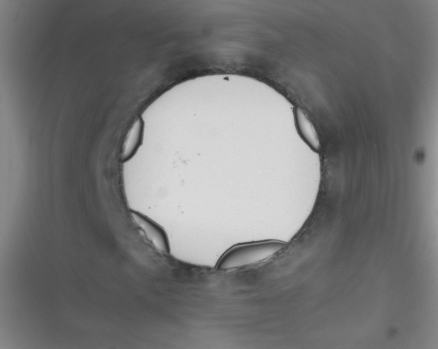 X0000116821057201001081412