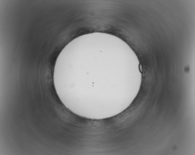 X0000116821058201001081412