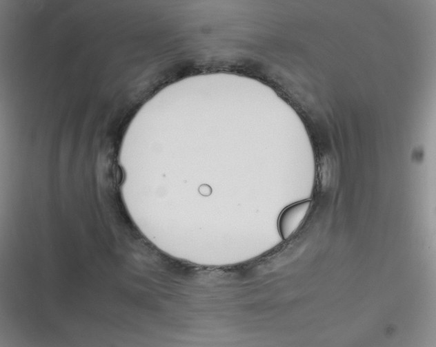 X0000116821059201001081412