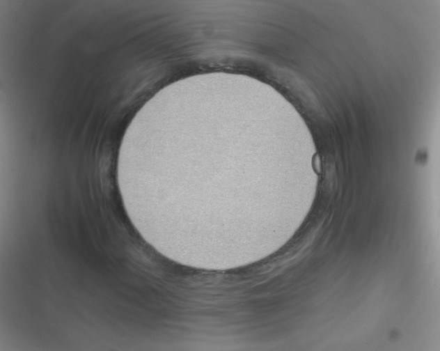 X0000116821060201001081412