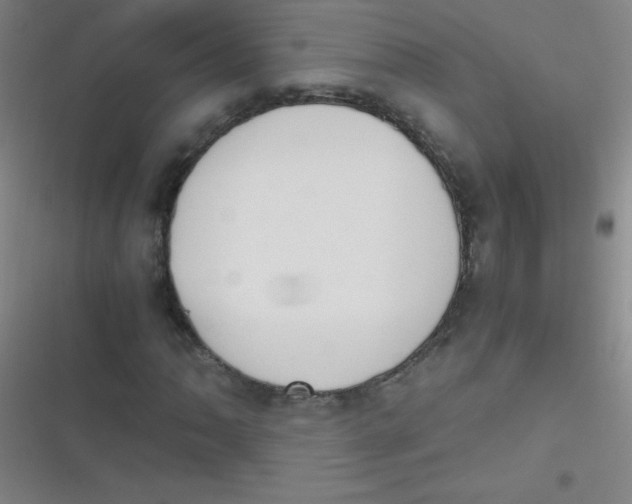 X0000116821062201001081412